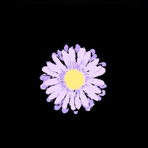 Meet your Posher, Norma